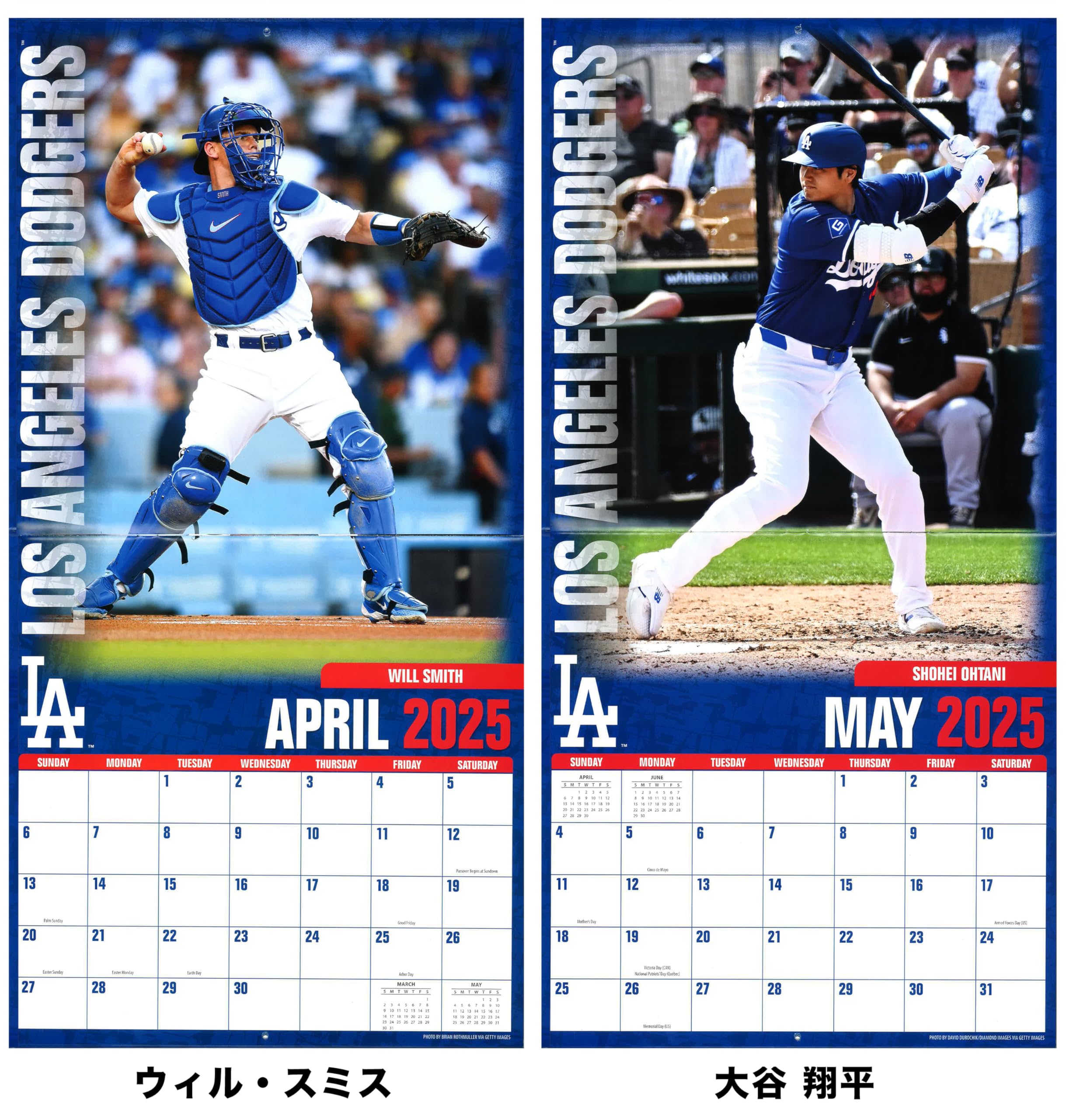 Amazon | ロサンゼルス・ドジャース 2025年 MLB公式 壁掛けカレンダー